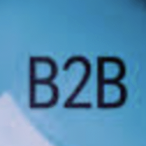 Group logo of B2B