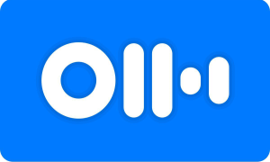 otter ai 300x180